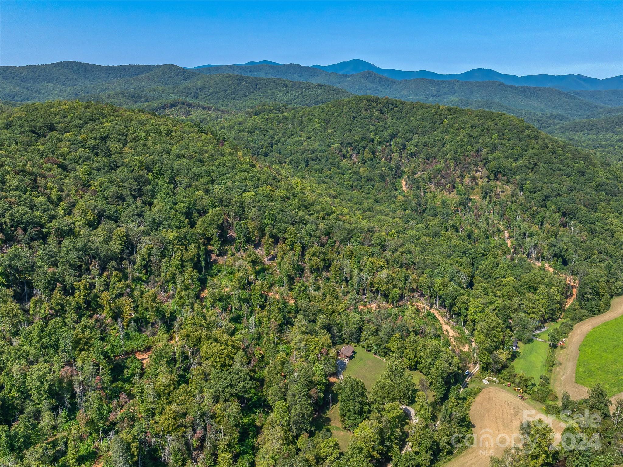 567 Davey Branch Road Horse Shoe, NC 28742 - Photo 11 of 36 a view of a lush green hillside and a mountain