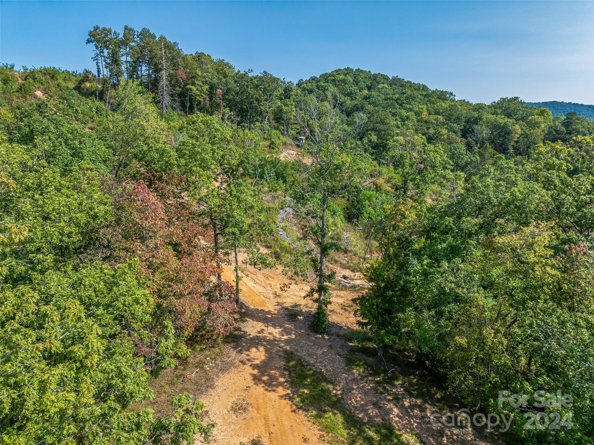 567 Davey Branch Road Horse Shoe, NC 28742 - Photo 12 of 36 a view of a large yard with lots of bushes