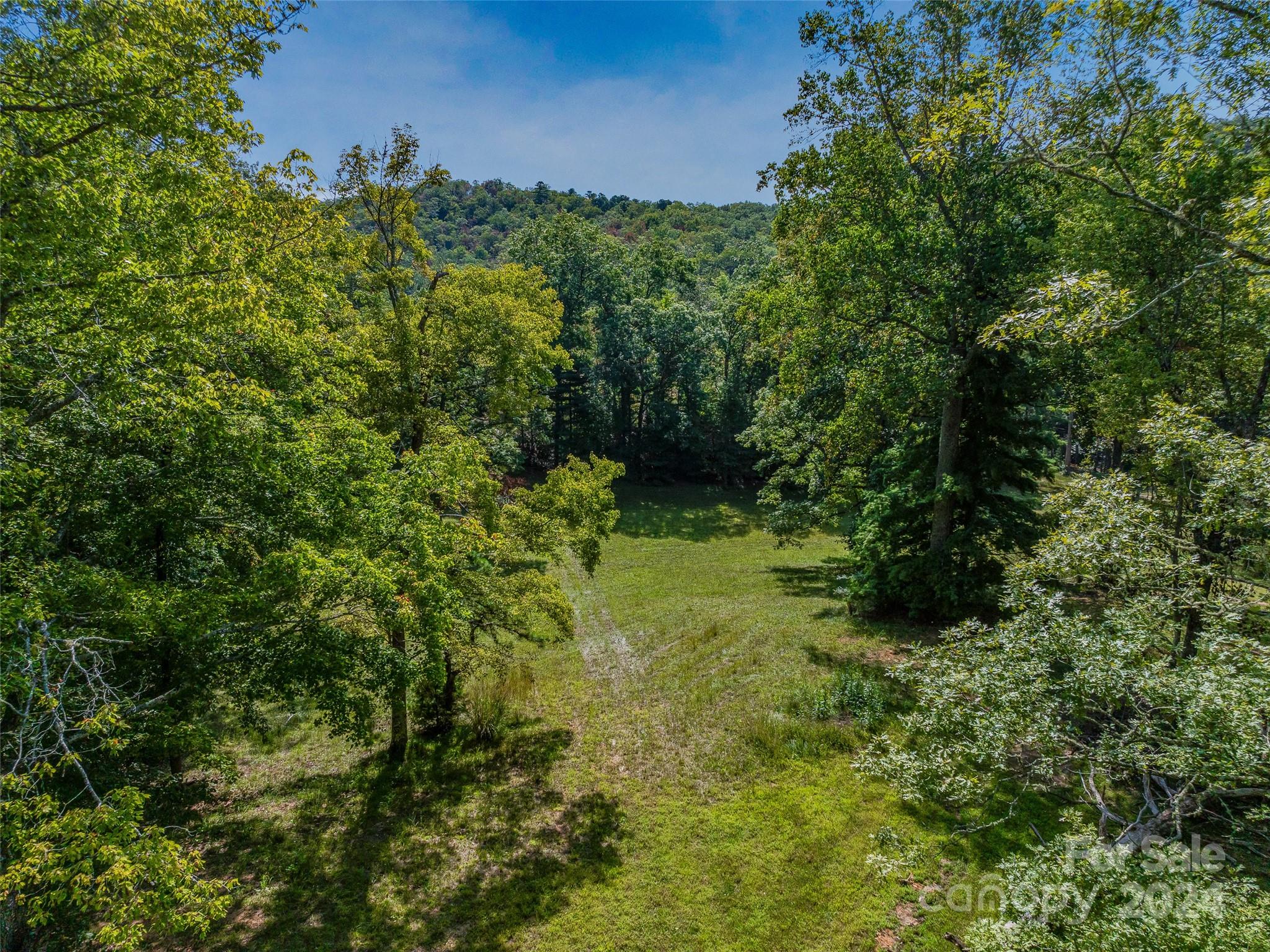567 Davey Branch Road Horse Shoe, NC 28742 - Photo 13 of 36 a view of a garden