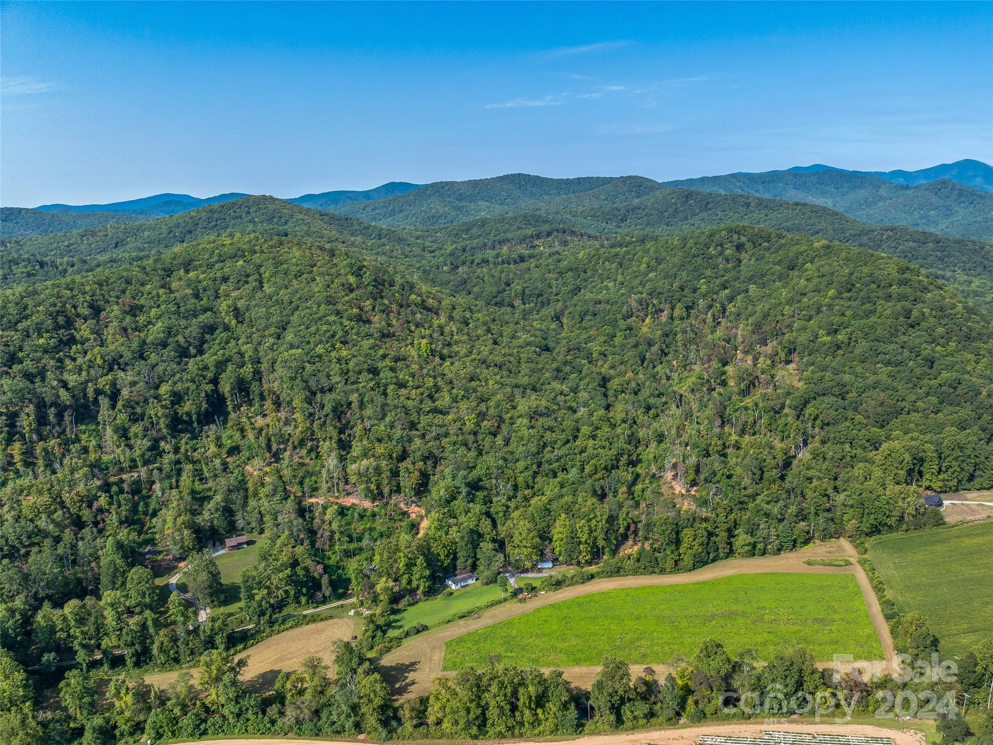 567 Davey Branch Road Horse Shoe, NC 28742 - Photo 16 of 36 a view of a lush green hillside and a houses