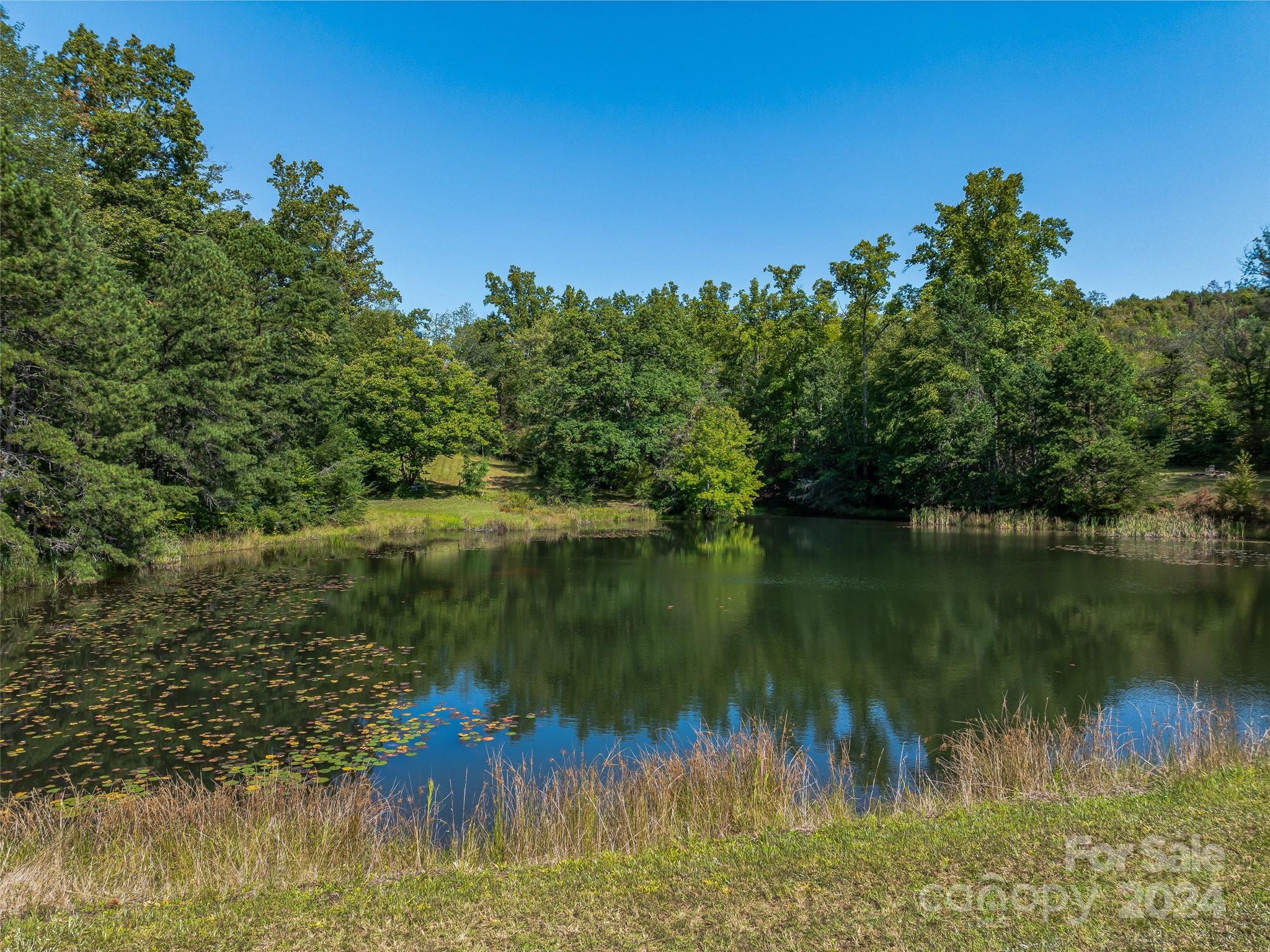 567 Davey Branch Road Horse Shoe, NC 28742 - Photo 19 of 36 a lake view with a lake view