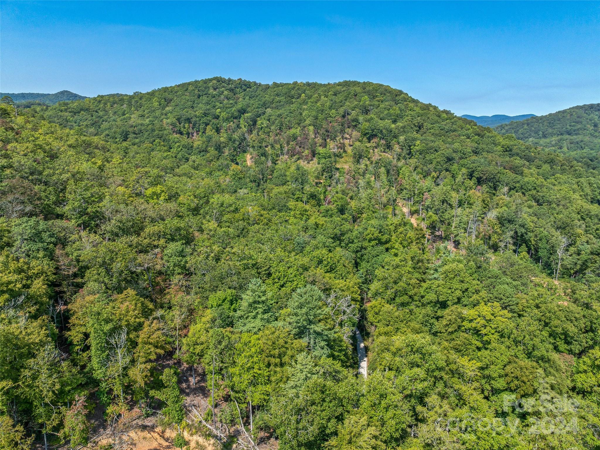 567 Davey Branch Road Horse Shoe, NC 28742 - Photo 20 of 36 a view of a large mountain with mountains in the background