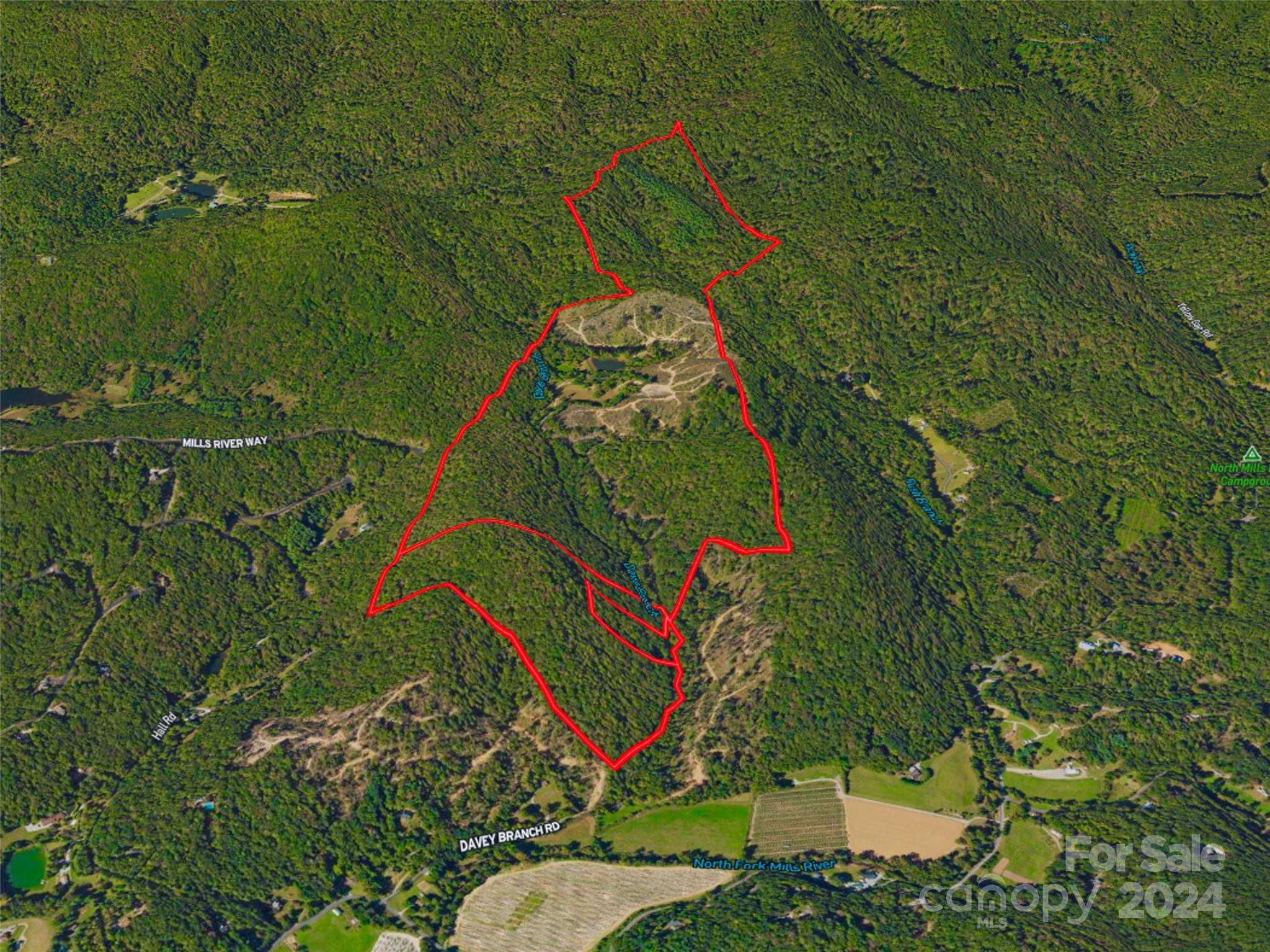 567 Davey Branch Road Horse Shoe, NC 28742 - Photo 2 of 36 a view of a tennis court