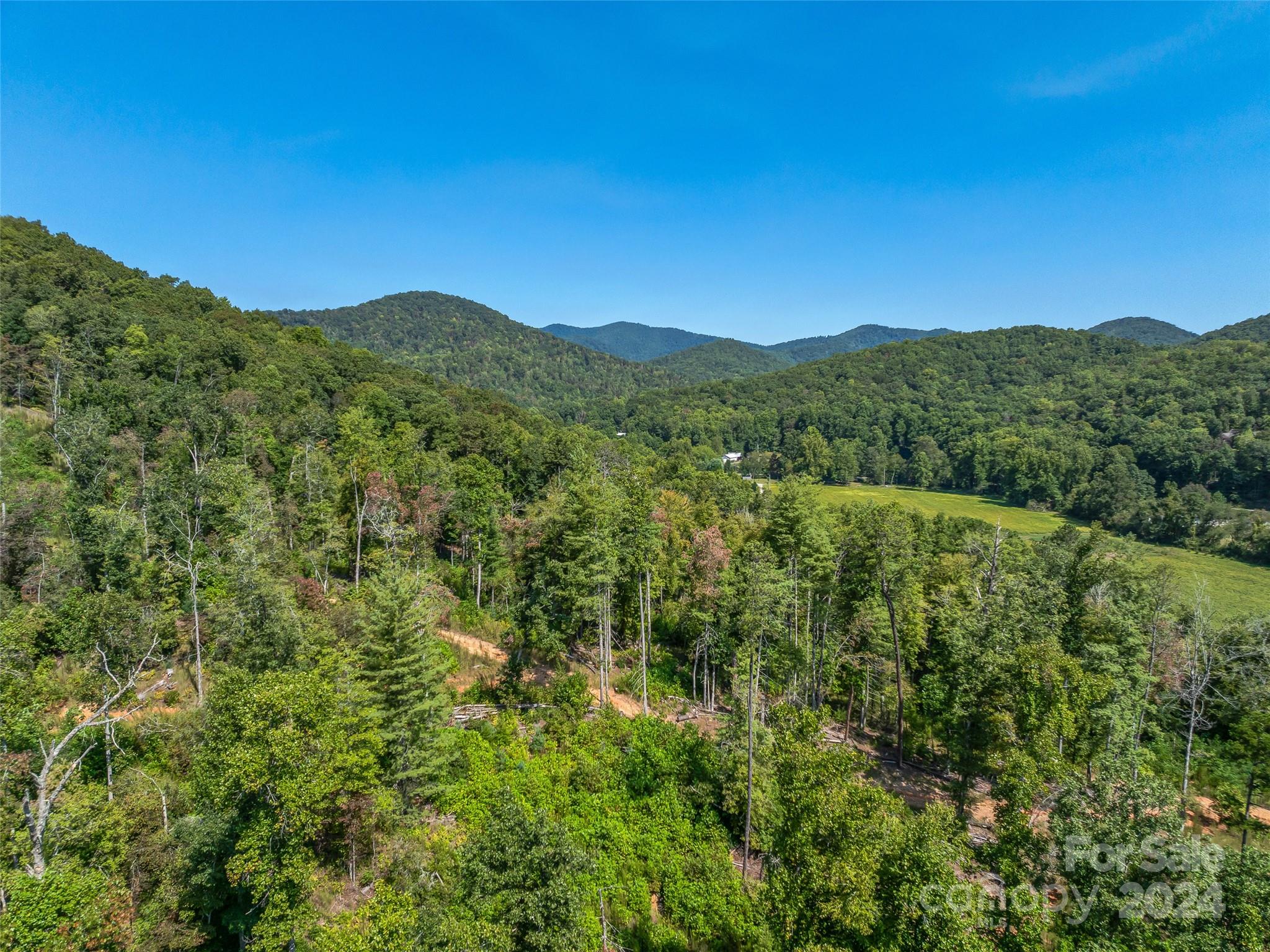 567 Davey Branch Road Horse Shoe, NC 28742 - Photo 21 of 36 a view of a lush green forest with trees in the background