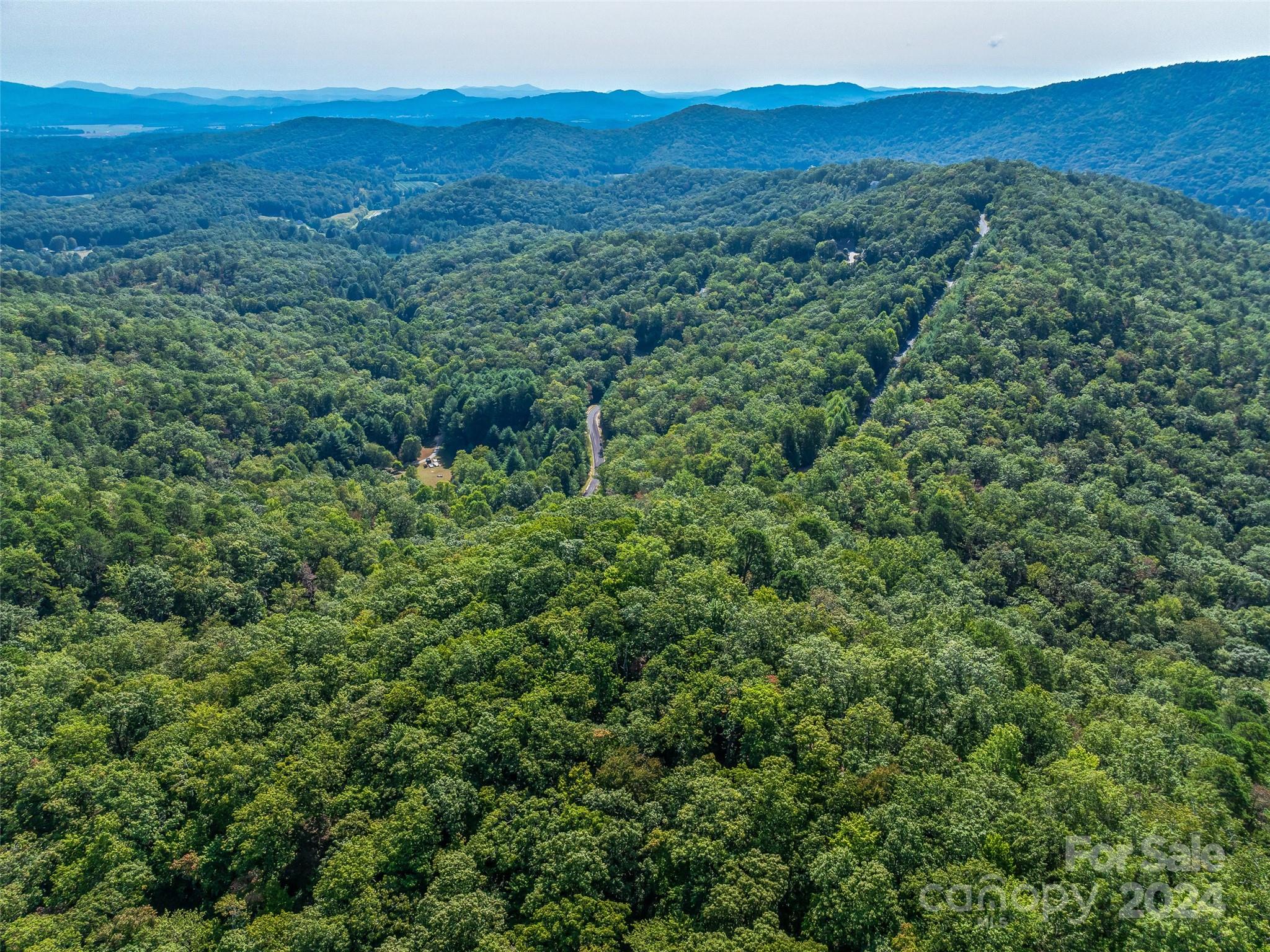 567 Davey Branch Road Horse Shoe, NC 28742 - Photo 22 of 36 a view of a lush green forest with trees and some houses