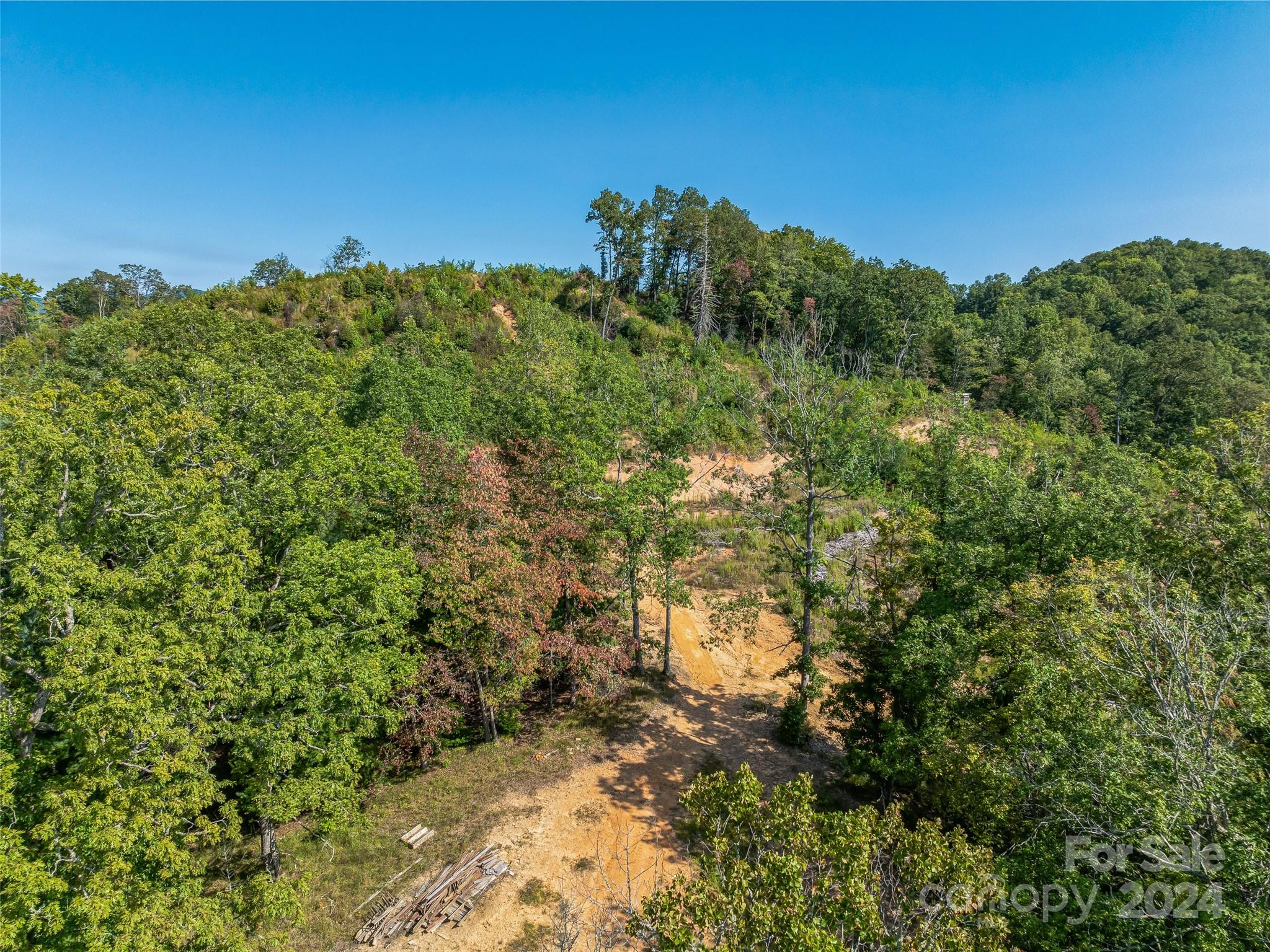 567 Davey Branch Road Horse Shoe, NC 28742 - Photo 23 of 36 a view of a lush green forest
