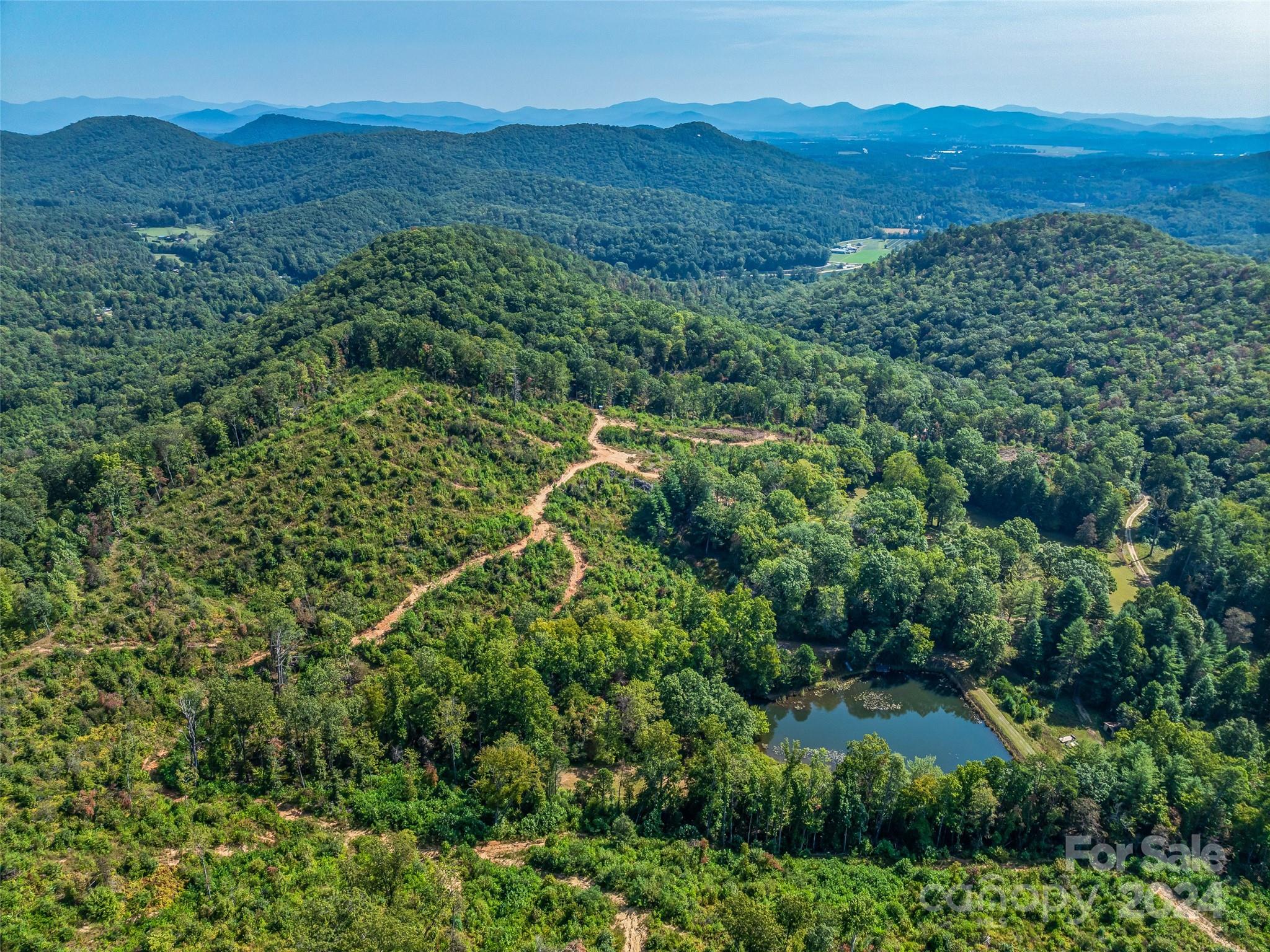 567 Davey Branch Road Horse Shoe, NC 28742 - Photo 24 of 36 a view of a lush green hillside and a building