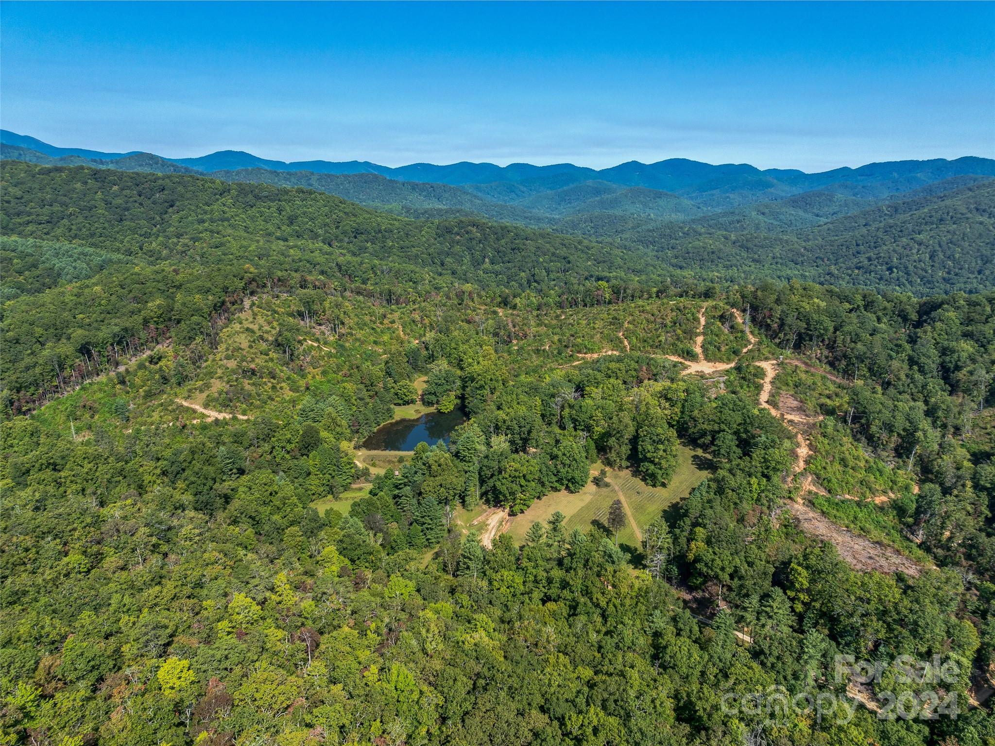 567 Davey Branch Road Horse Shoe, NC 28742 - Photo 25 of 36 a view of a lush green forest with trees in the background