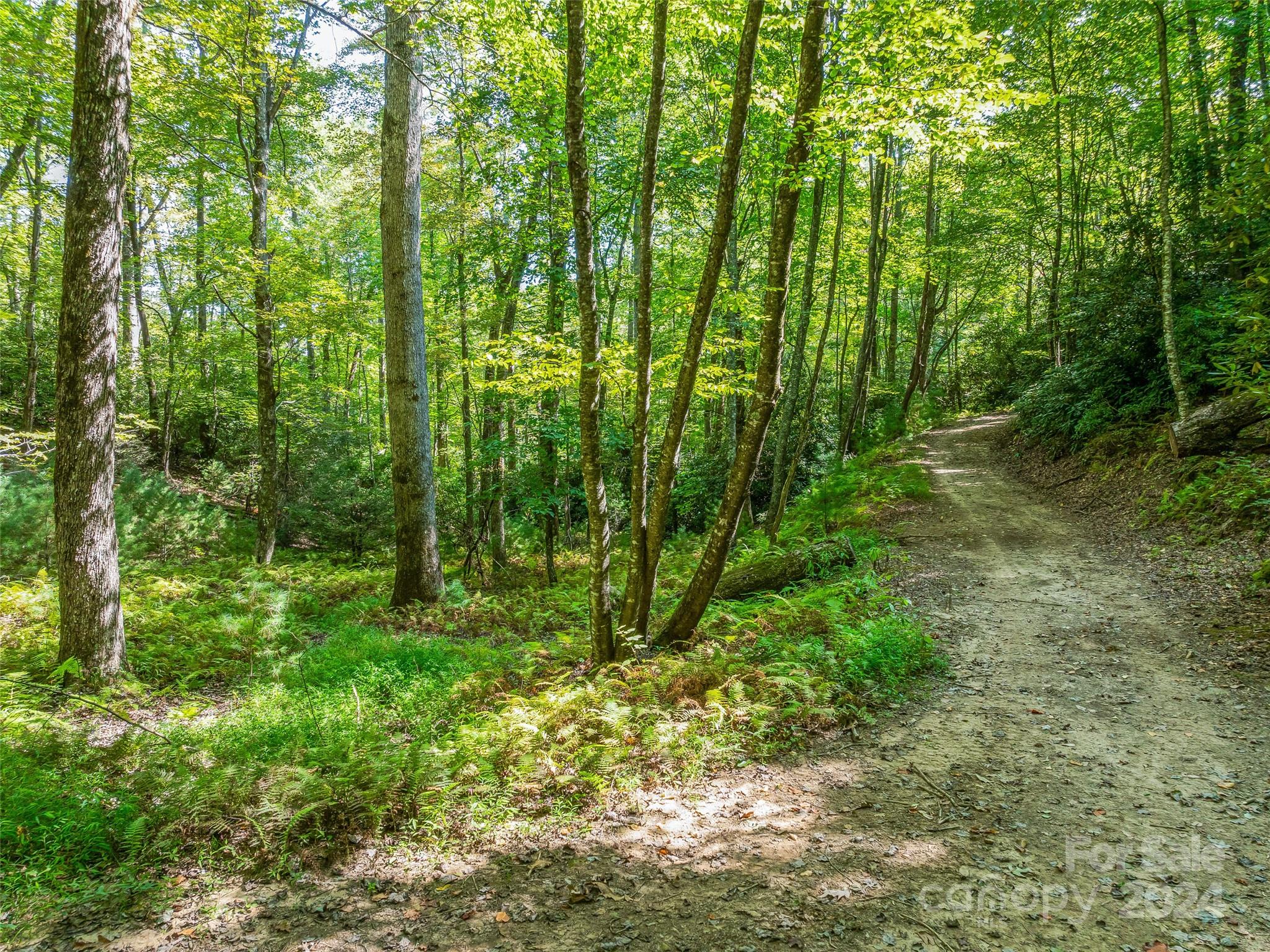 567 Davey Branch Road Horse Shoe, NC 28742 - Photo 26 of 36 a view of yard