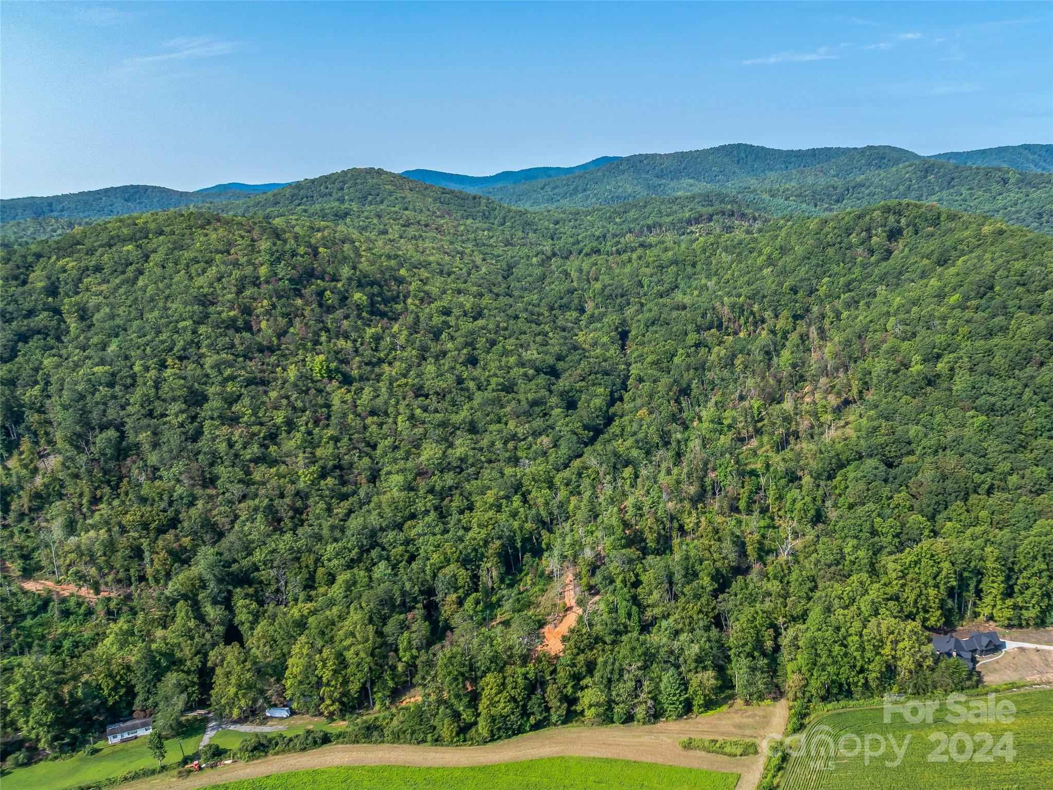 567 Davey Branch Road Horse Shoe, NC 28742 - Photo 27 of 36 a view of a lush green field with a mountain in the background