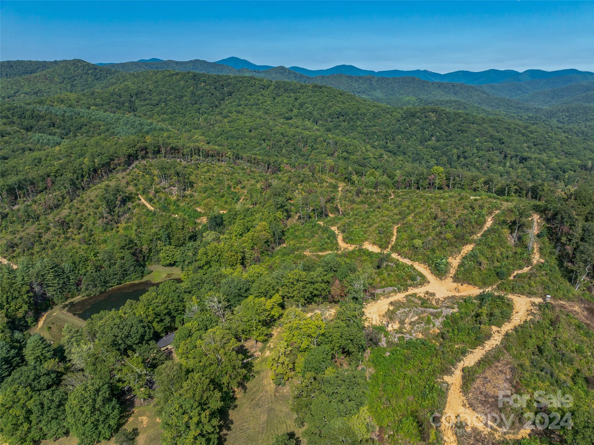 567 Davey Branch Road Horse Shoe, NC 28742 - Photo 29 of 36 a view of a lush green hillside and a mountain