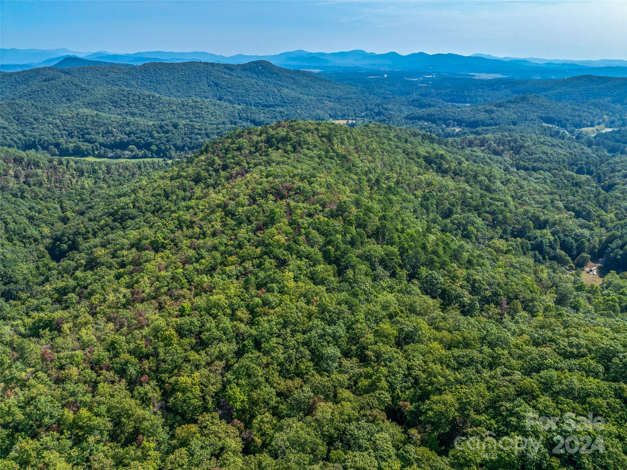 567 Davey Branch Road Horse Shoe, NC 28742 - Photo 30 of 36 a view of a mountain range with lush green forest