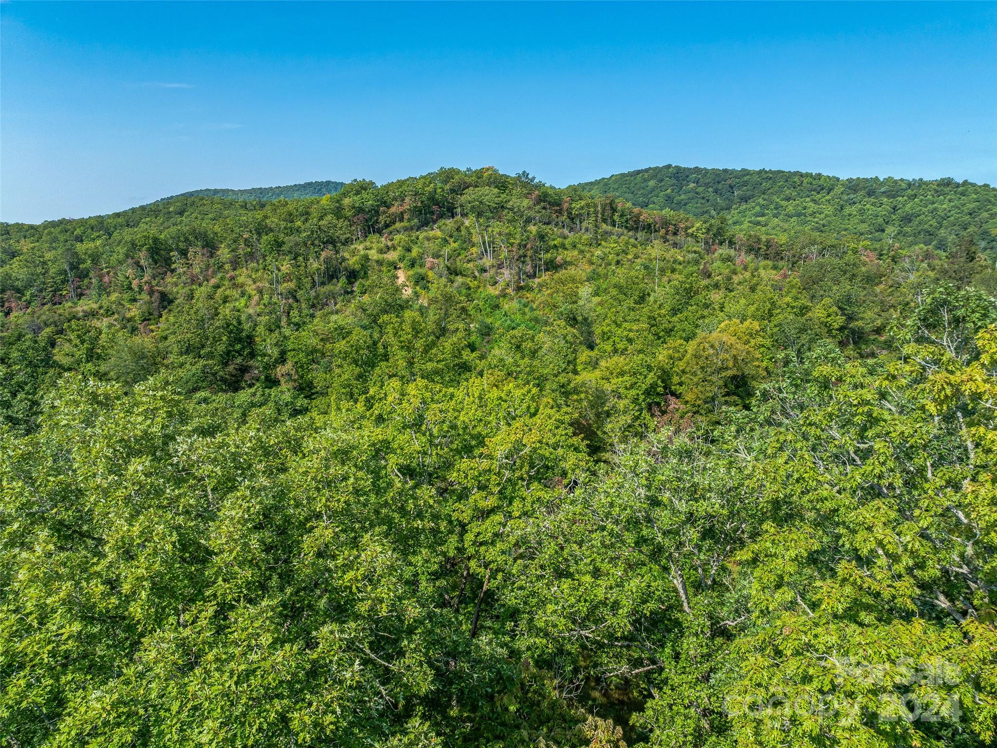 567 Davey Branch Road Horse Shoe, NC 28742 - Photo 31 of 36 a view of a large mountain with a mountain in the background