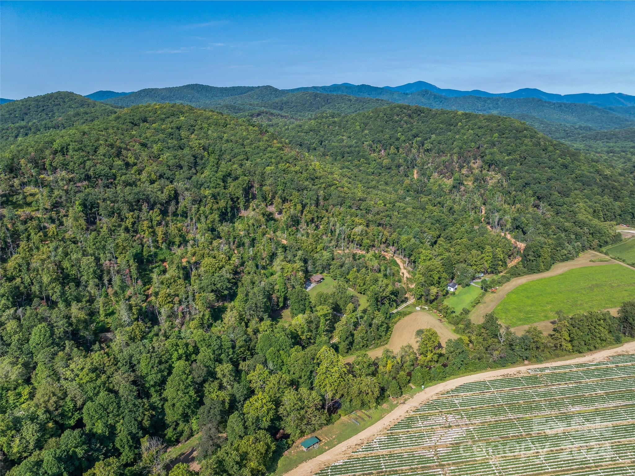 567 Davey Branch Road Horse Shoe, NC 28742 - Photo 32 of 36 a view of a lush green hillside and a houses