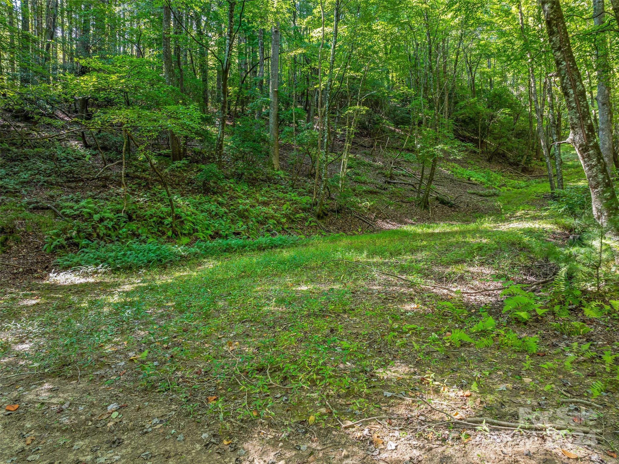567 Davey Branch Road Horse Shoe, NC 28742 - Photo 33 of 36 a view of outdoor space and green space