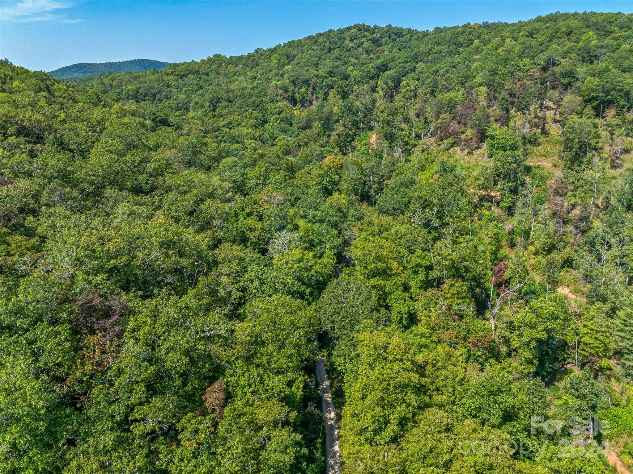 567 Davey Branch Road Horse Shoe, NC 28742 - Photo 34 of 36 a view of a green field with lots of bushes