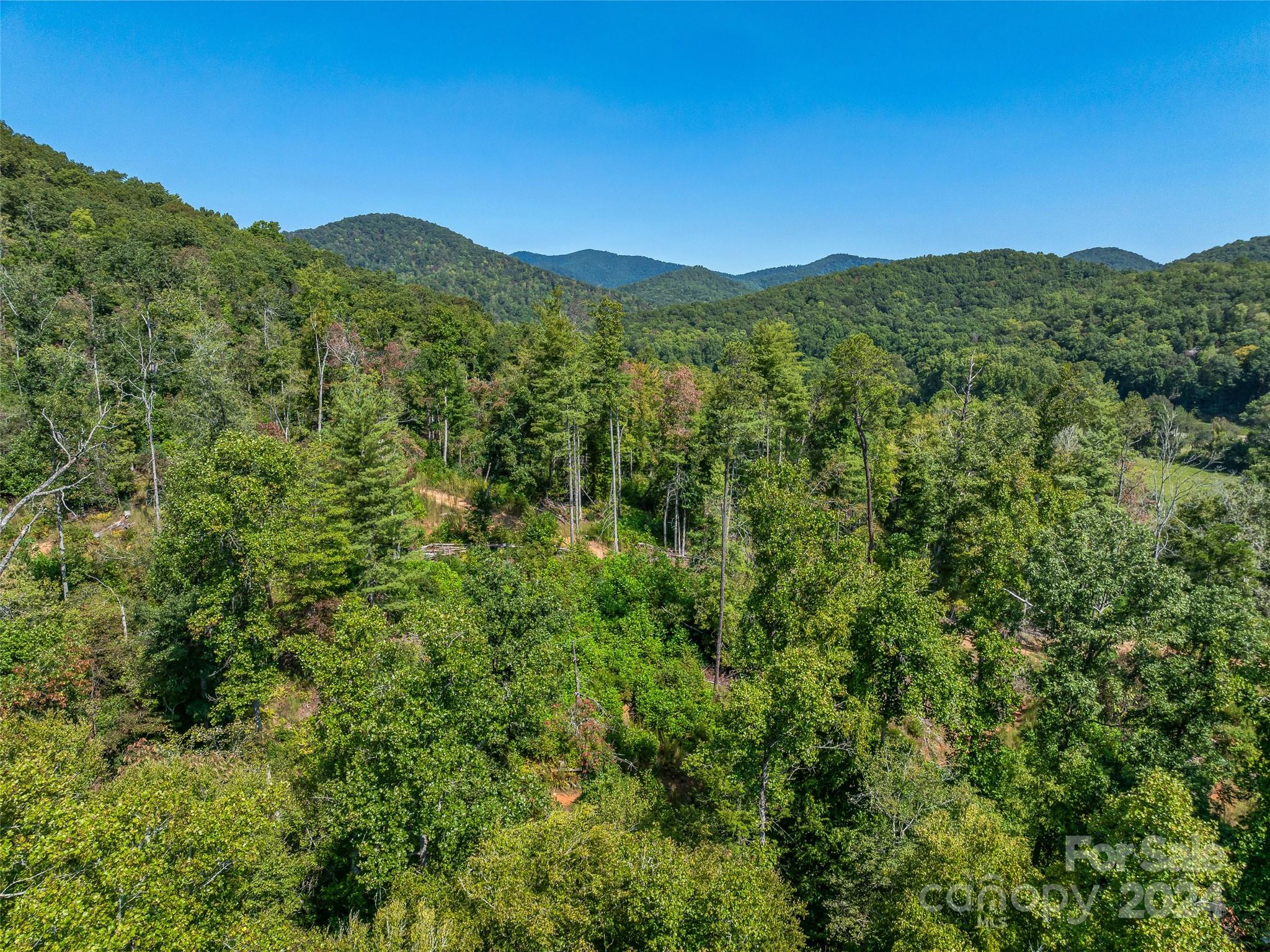567 Davey Branch Road Horse Shoe, NC 28742 - Photo 35 of 36 a view of a mountain range with lush green forest