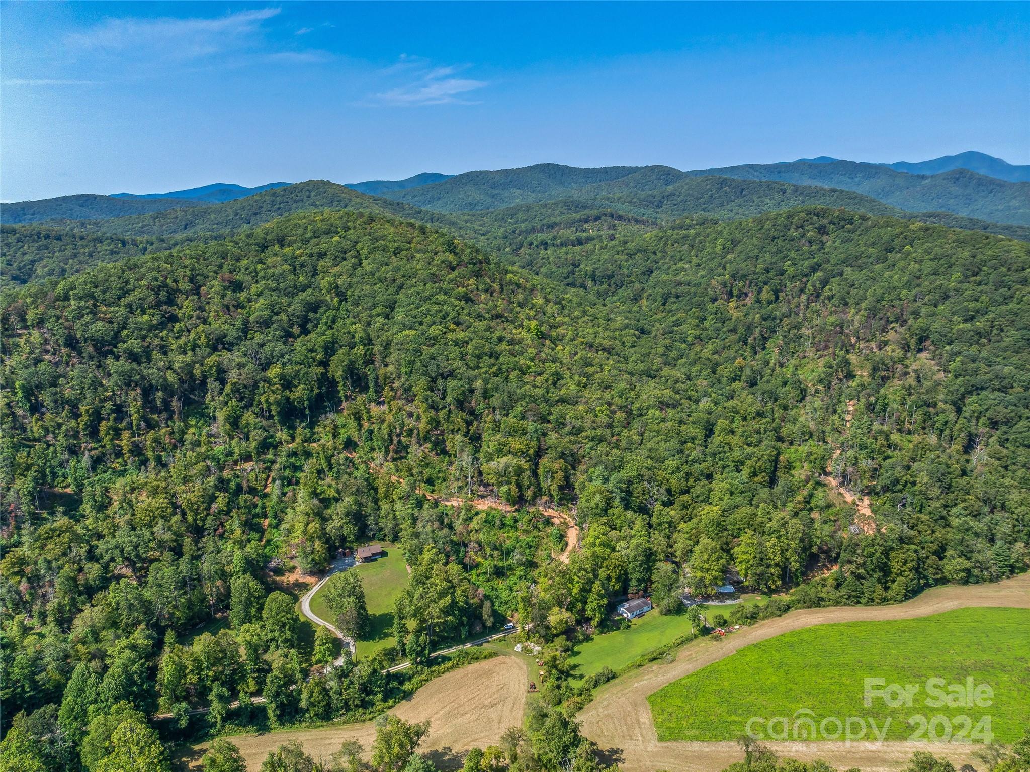 567 Davey Branch Road Horse Shoe, NC 28742 - Photo 6 of 36 a view of a lush green forest with a mountain in the background