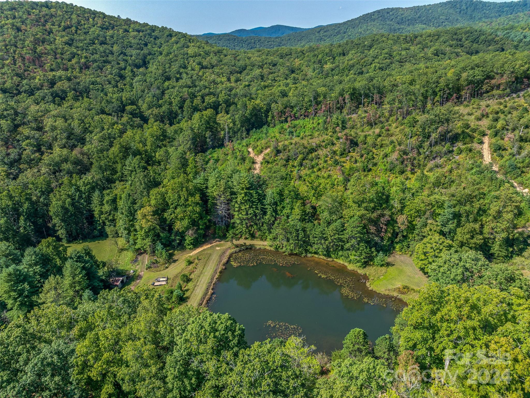 567 Davey Branch Road Horse Shoe, NC 28742 - Photo 7 of 36 a view of a lush green forest with houses