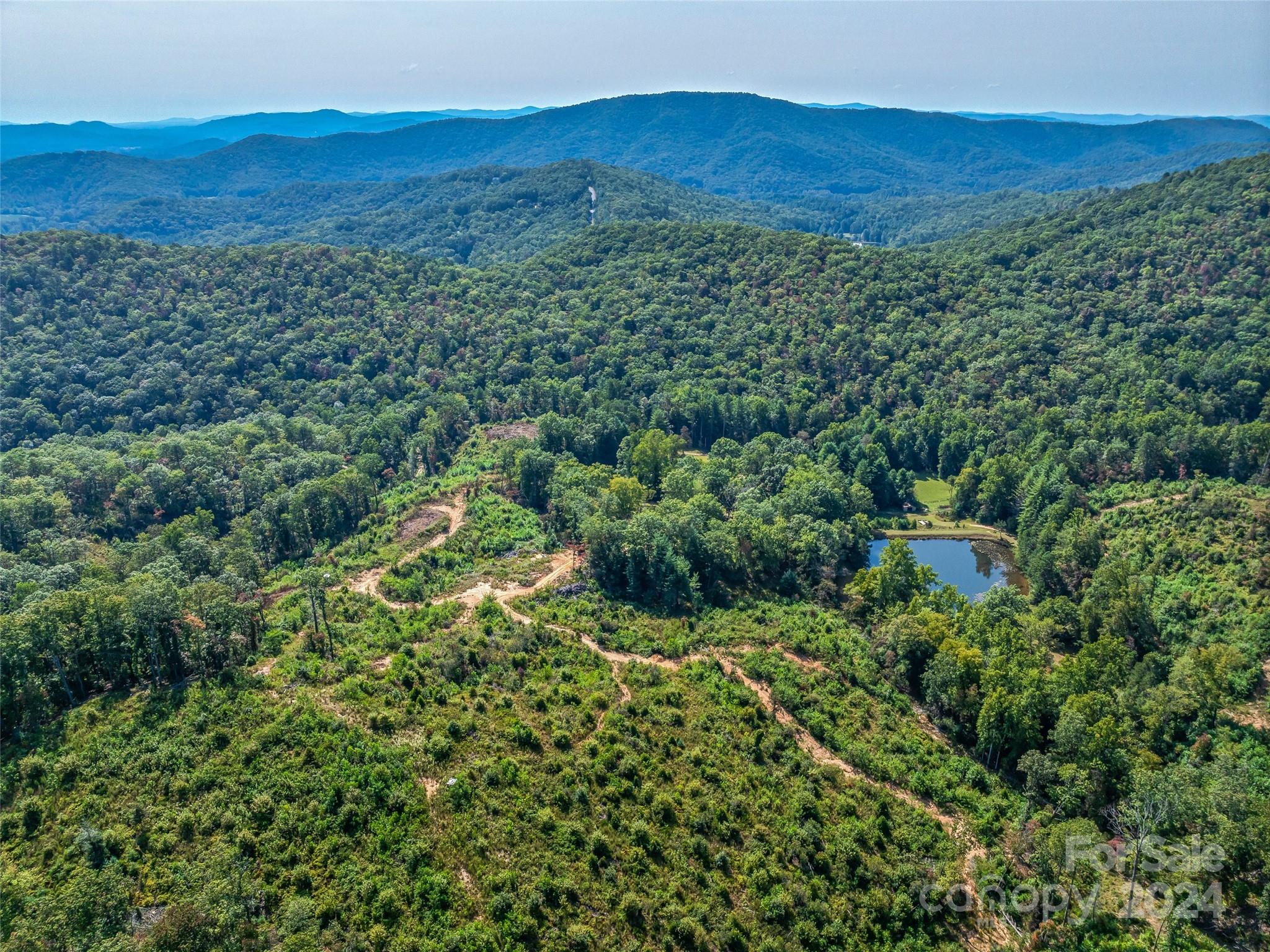 567 Davey Branch Road Horse Shoe, NC 28742 - Photo 8 of 36 a view of a lush green hillside and a houses