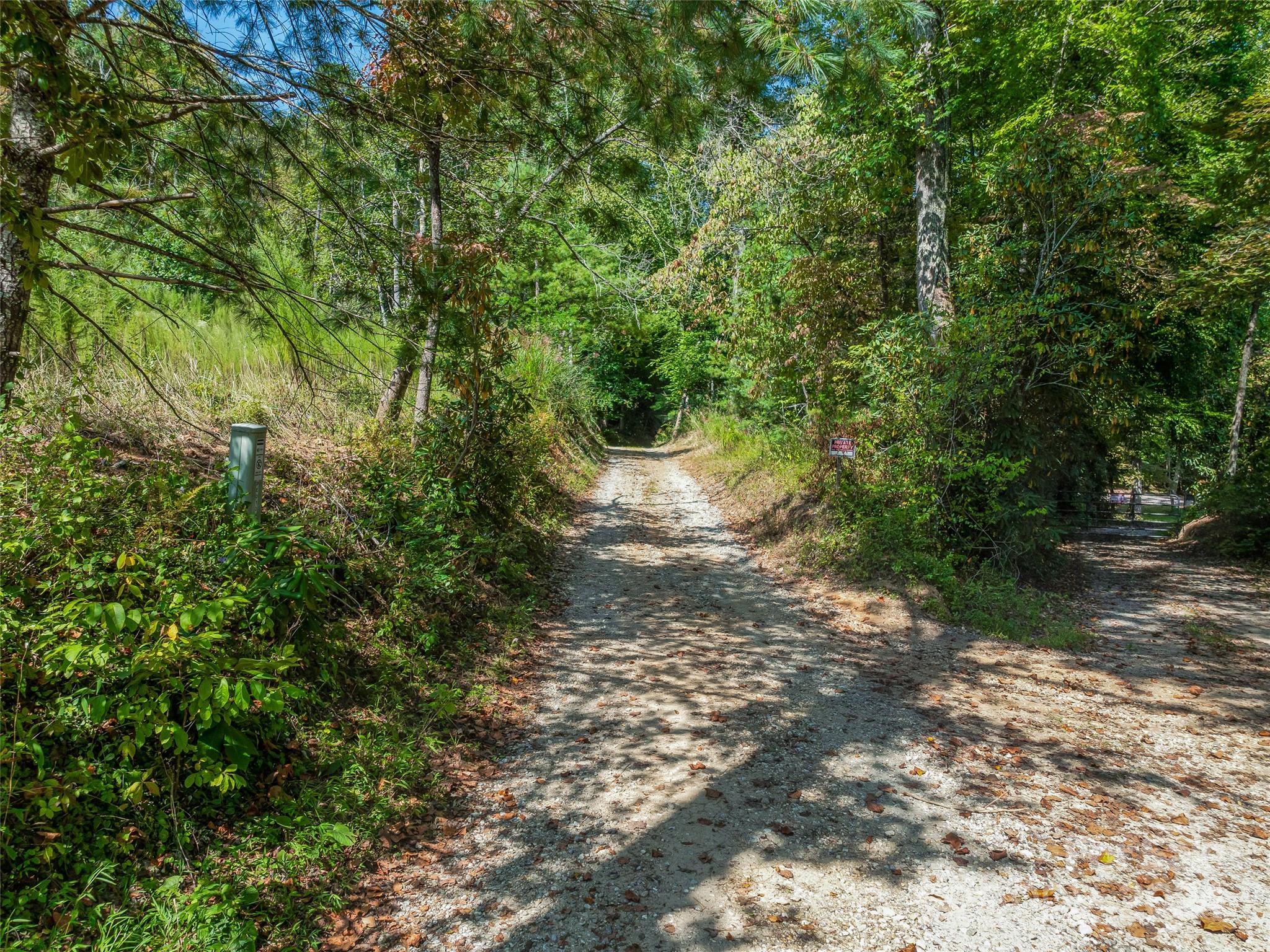 567 Davey Branch Road Horse Shoe, NC 28742 - Photo 10 of 36 a view of a pathway both side of yard