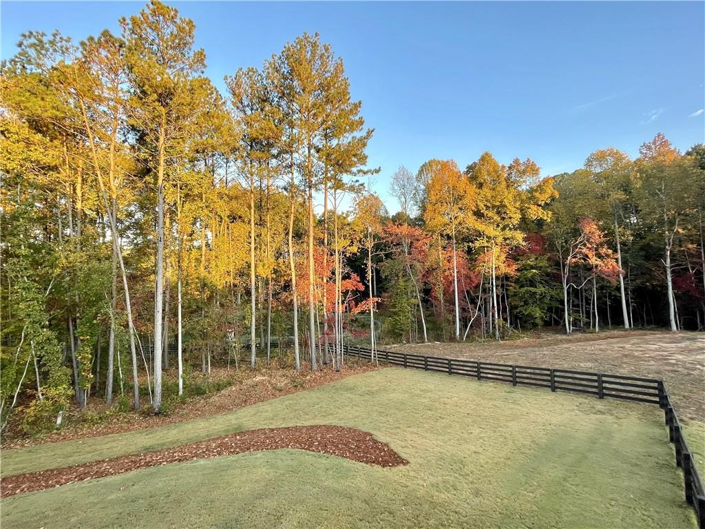 281 Greystone Court Winder, GA 30680 - Photo 58 of 71 a backyard of a house with lots of green space