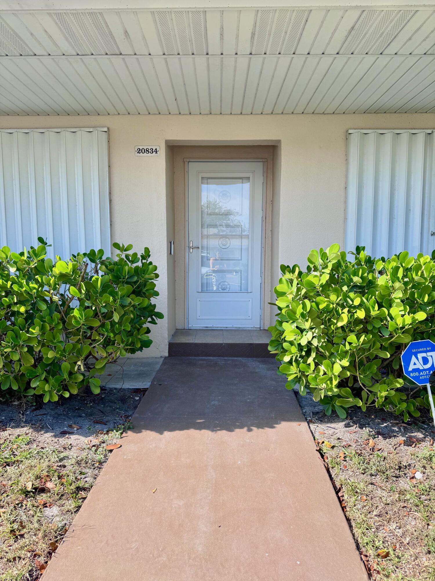a view of a backyard with plants