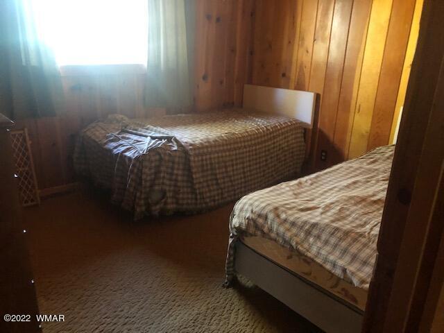 9 County Road Greer, AZ 85927 - Photo 8 of 9