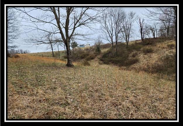 0 Metheny Fairplay Road, Unit TRACT 1) Vinton, OH 45686 - Photo 28 of 41 image027