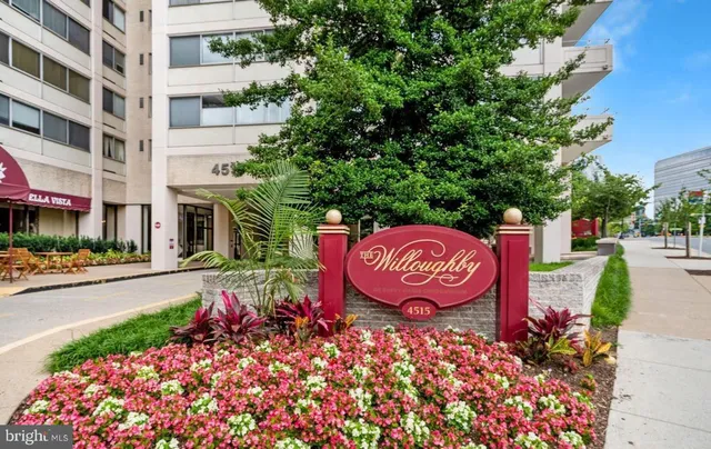 a view of a street with potted plants