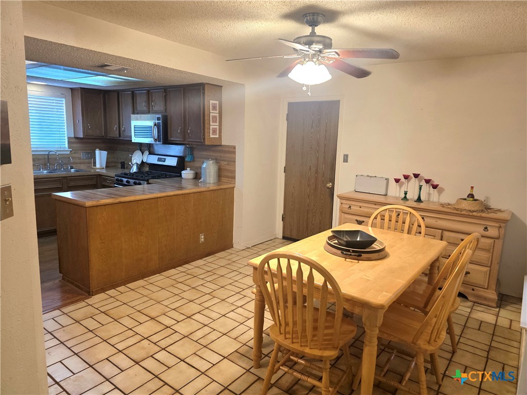 1611 East Messick Loop Round Rock, TX 78681 - Photo 4 of 16