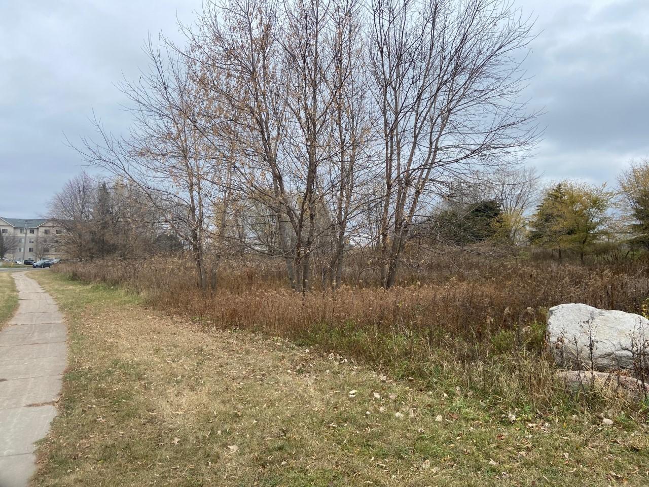 Tbd 65th Street East Inver Grove Heights, MN 55076 - Photo 10 of 11