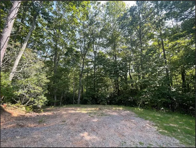 a view of a yard with plants and trees