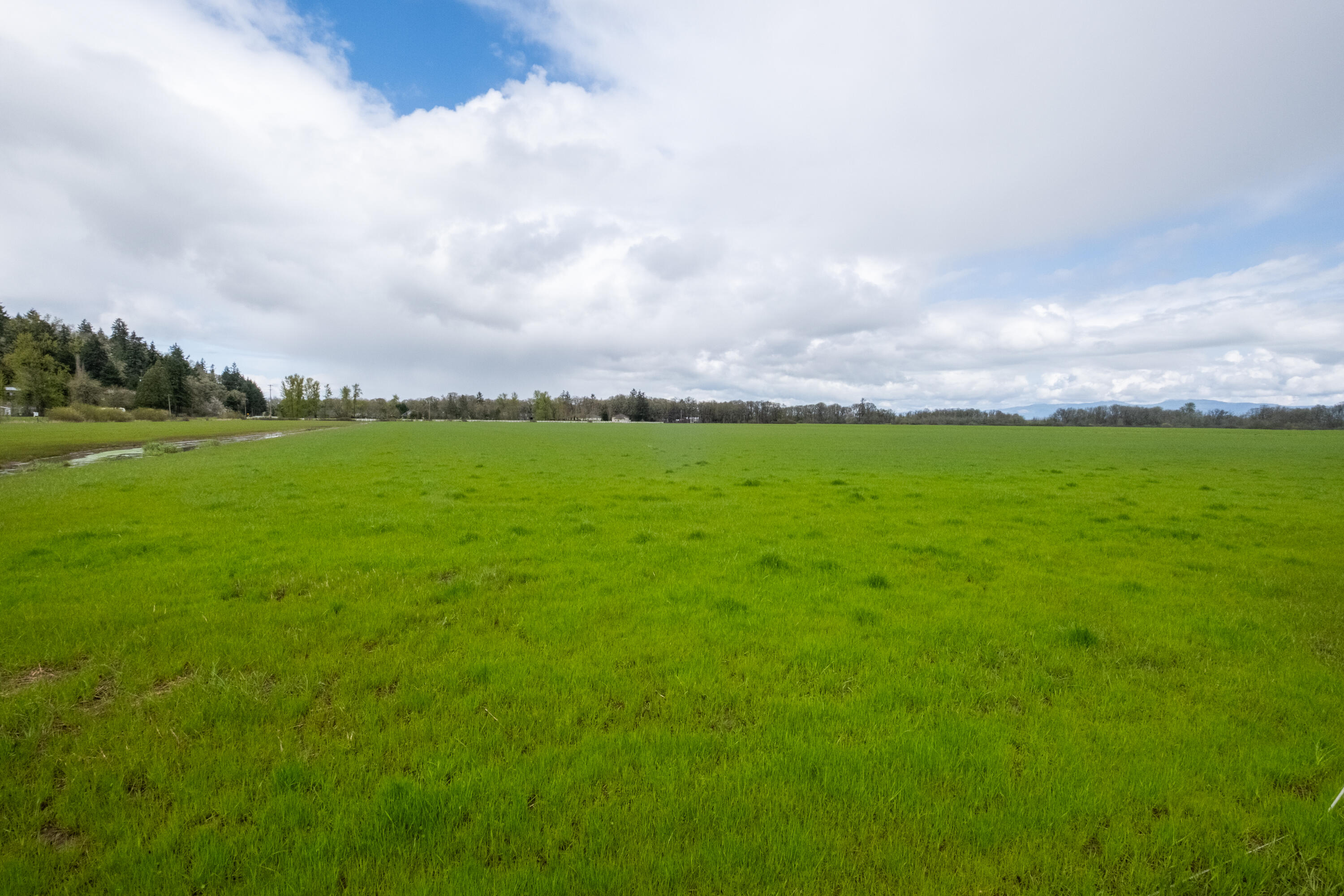 0 Applegate Trail Junction City, OR 97448 - Photo 15 of 27 a view of an outdoor space and yard