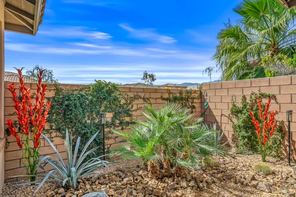 a plant that is in front of a house