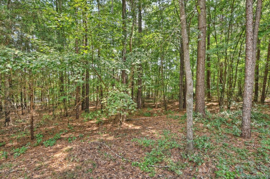 3061 Zeb Deese Road Lancaster, SC 29720 - Photo 22 of 24
