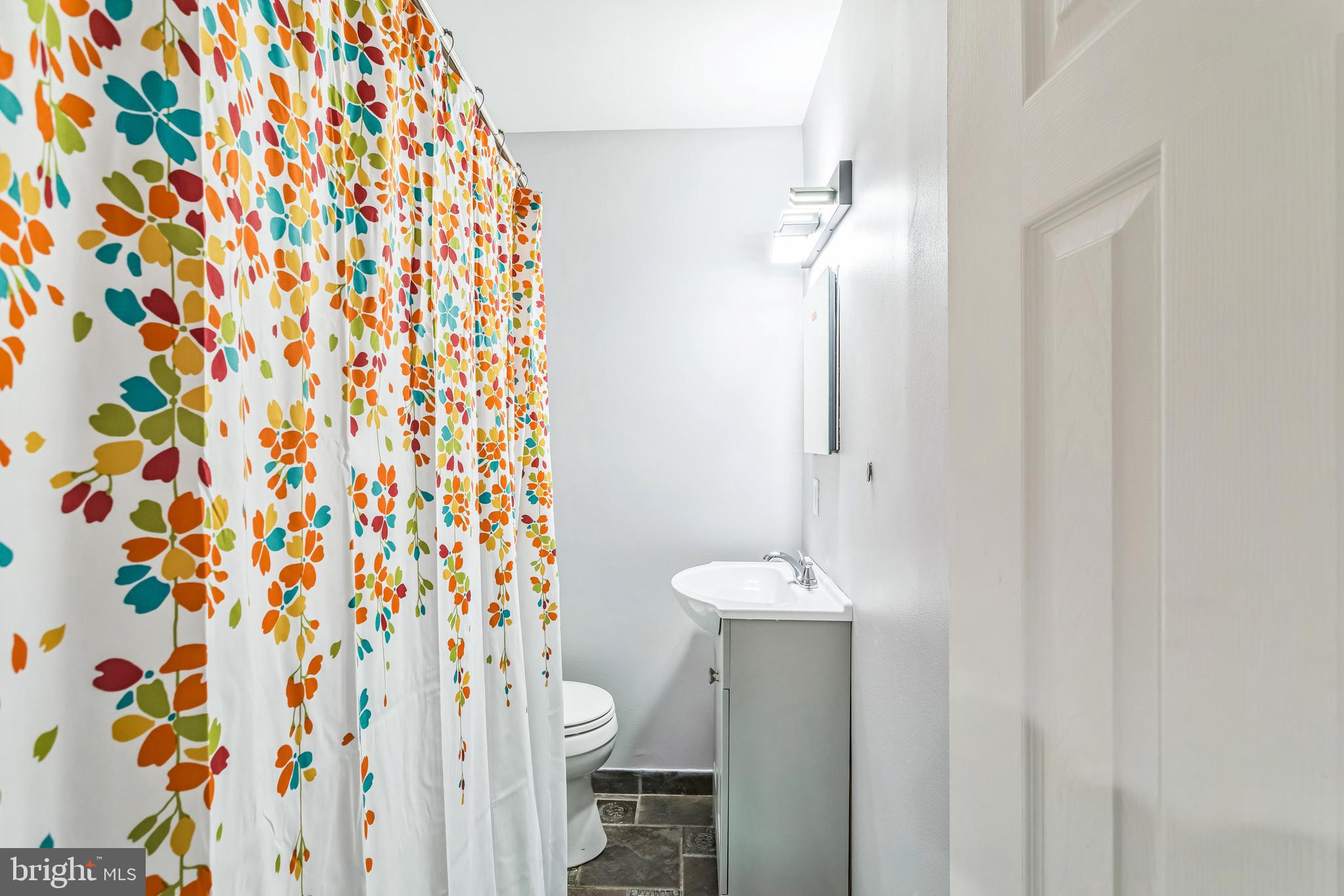 2519 Webb Street Philadelphia, PA 19125 - Photo 15 of 19 Modern hall bath