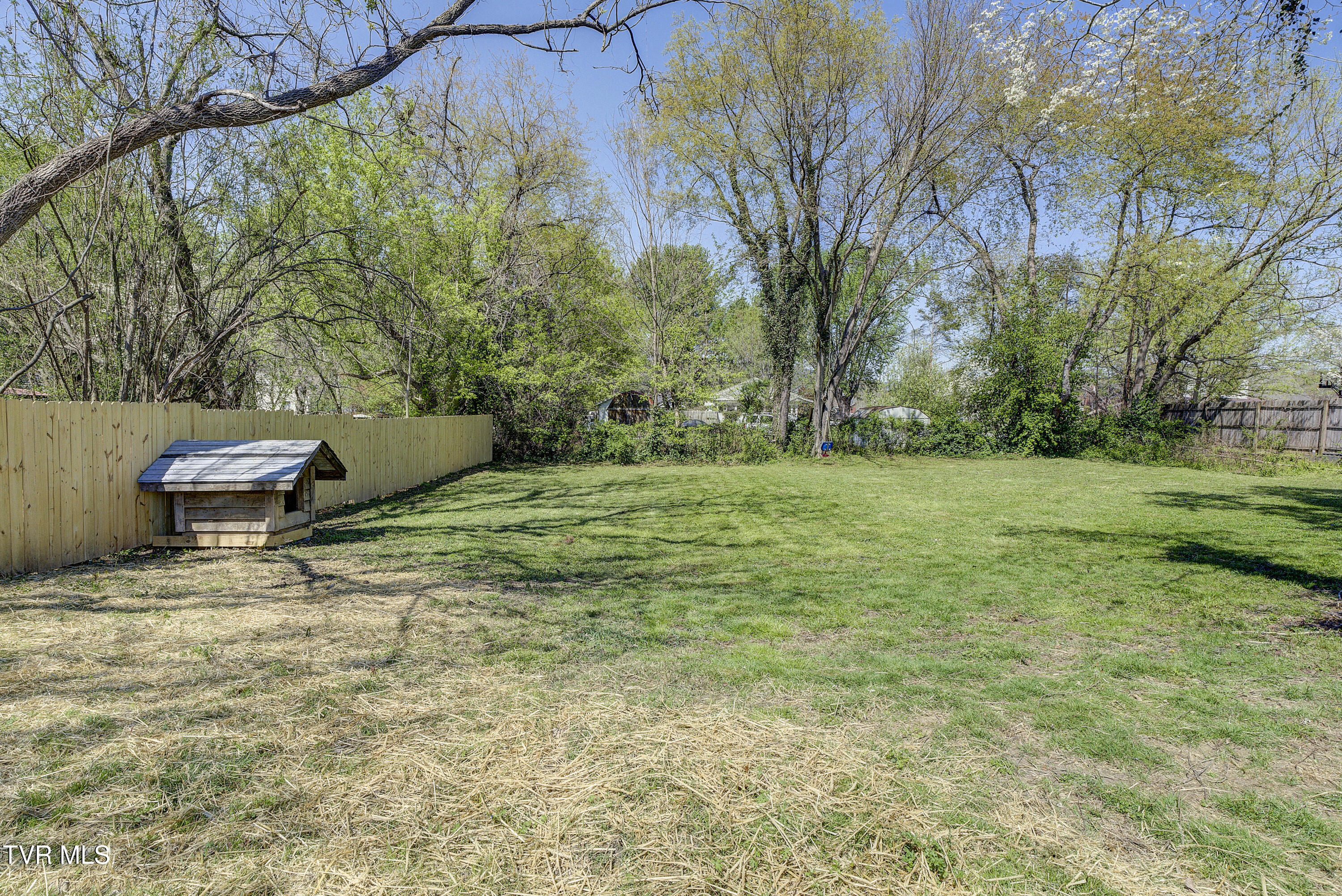 511 Coffee Street Erwin, TN 37650 - Photo 5 of 36 yard