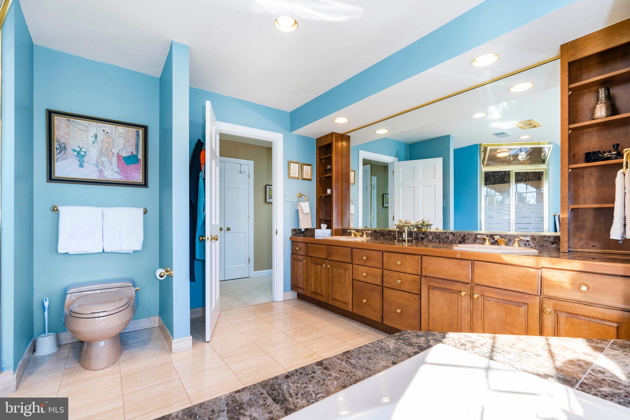 112 St Moritz Drive Wilmington, DE 19807 - Photo 34 of 59 Primary en suite with double sinks and storage.