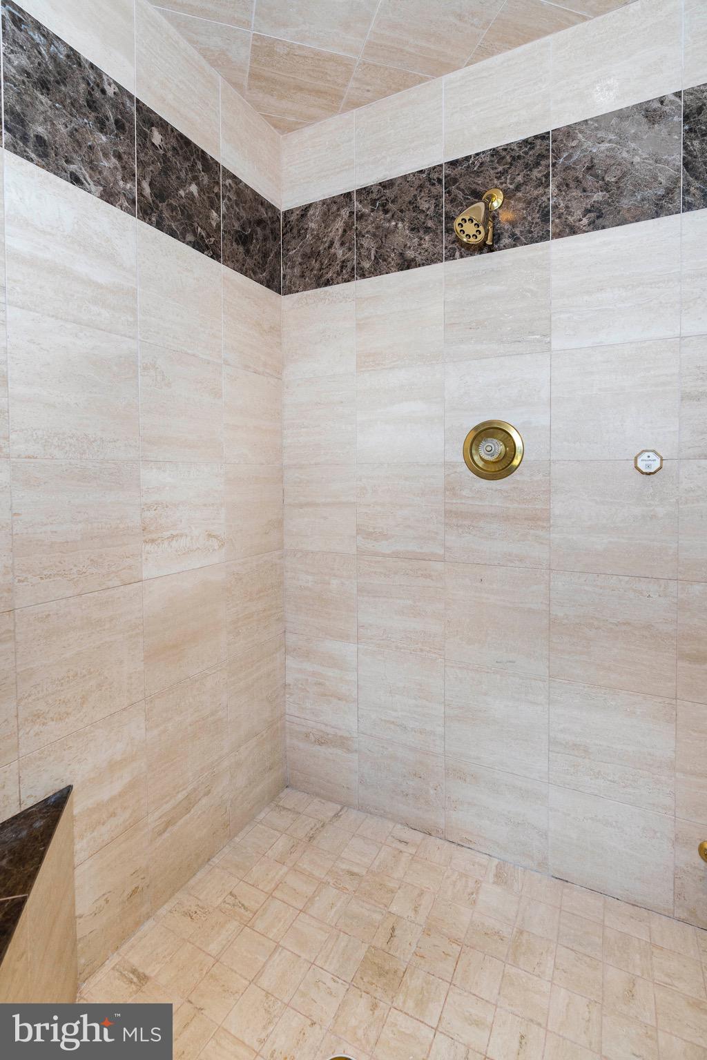 112 St Moritz Drive Wilmington, DE 19807 - Photo 36 of 59 marble primary shower