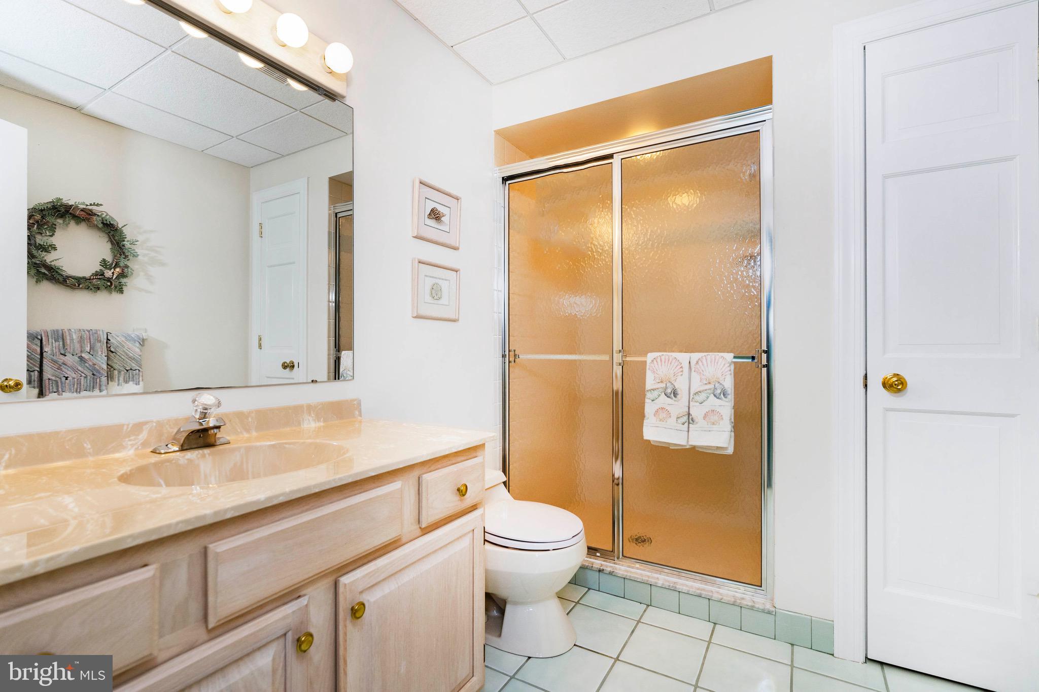 112 St Moritz Drive Wilmington, DE 19807 - Photo 52 of 59 Full bath in lower level.