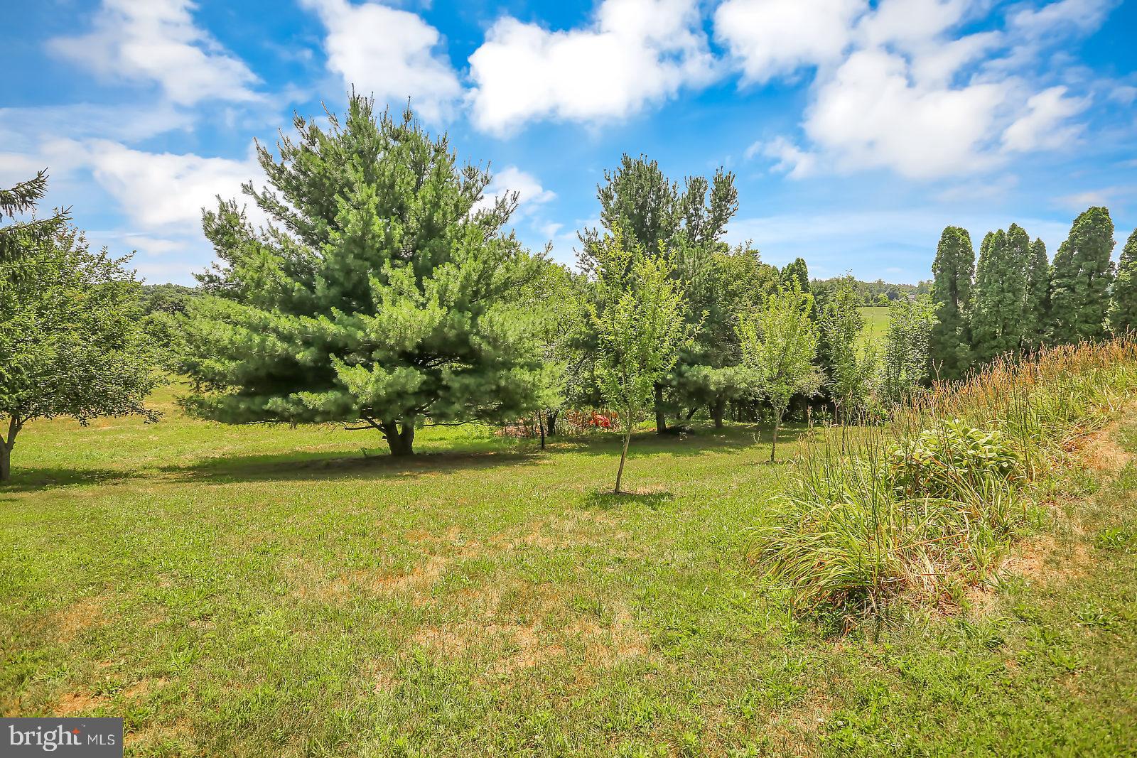 455 Douglas Road Hummelstown, PA 17036 - Photo 21 of 26 Gallery Image 21