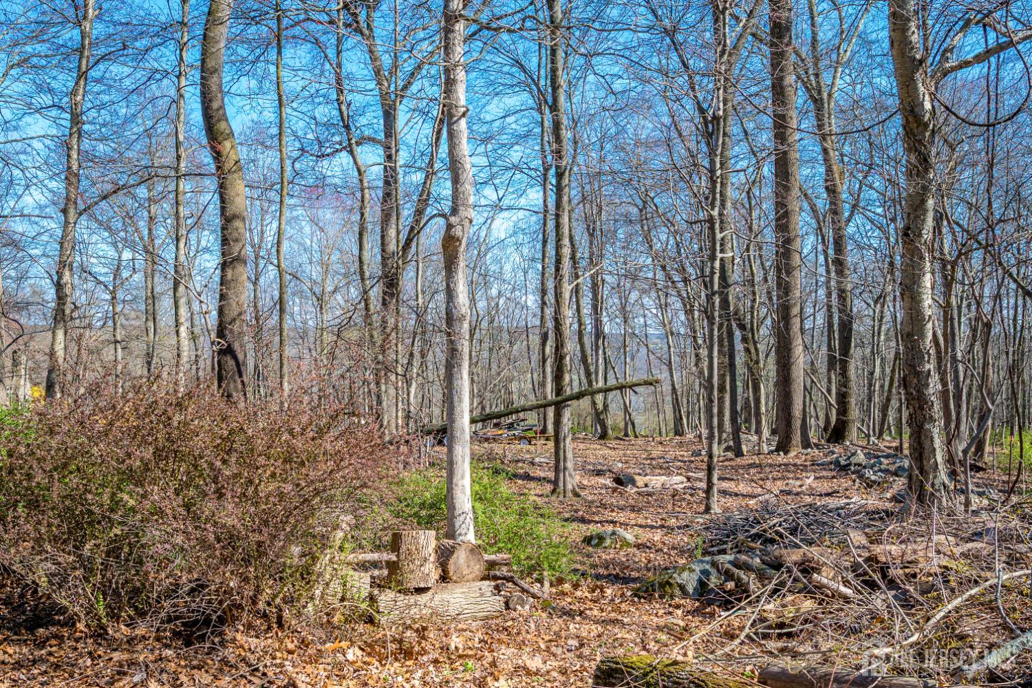 16 Sky Top Road Port Murray, NJ 07865 - Photo 42 of 58