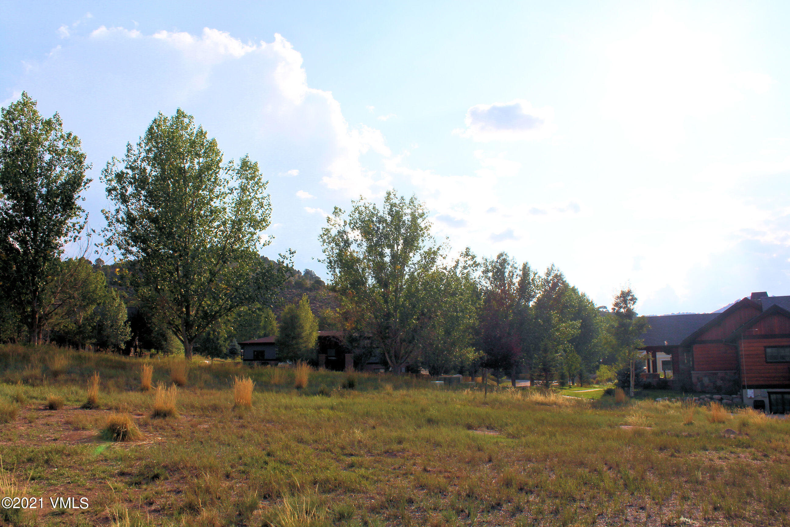 67 East Double Hitch Eagle, CO 81631 - Photo 4 of 15 a view of a yard with a tree
