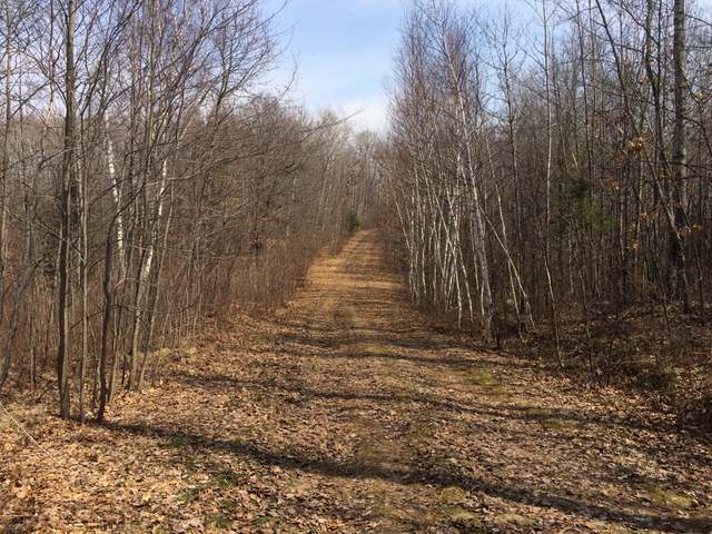 Off Off Lakewood Road Hazelhurst, WI 54531 - Photo 11 of 17 Gallery Image 11