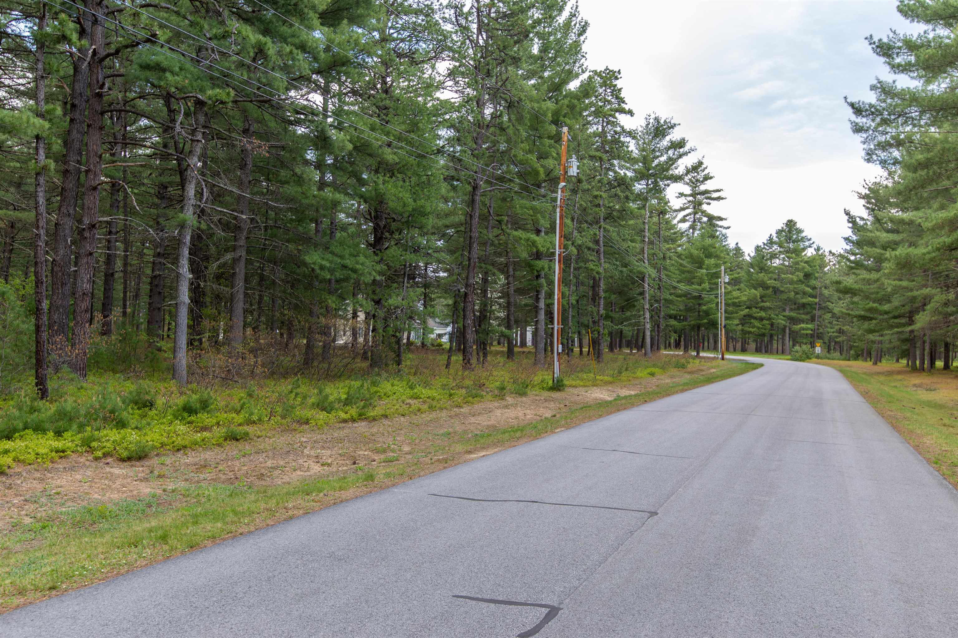 36 Logan Way West Ossipee, NH 03890 - Photo 2 of 39