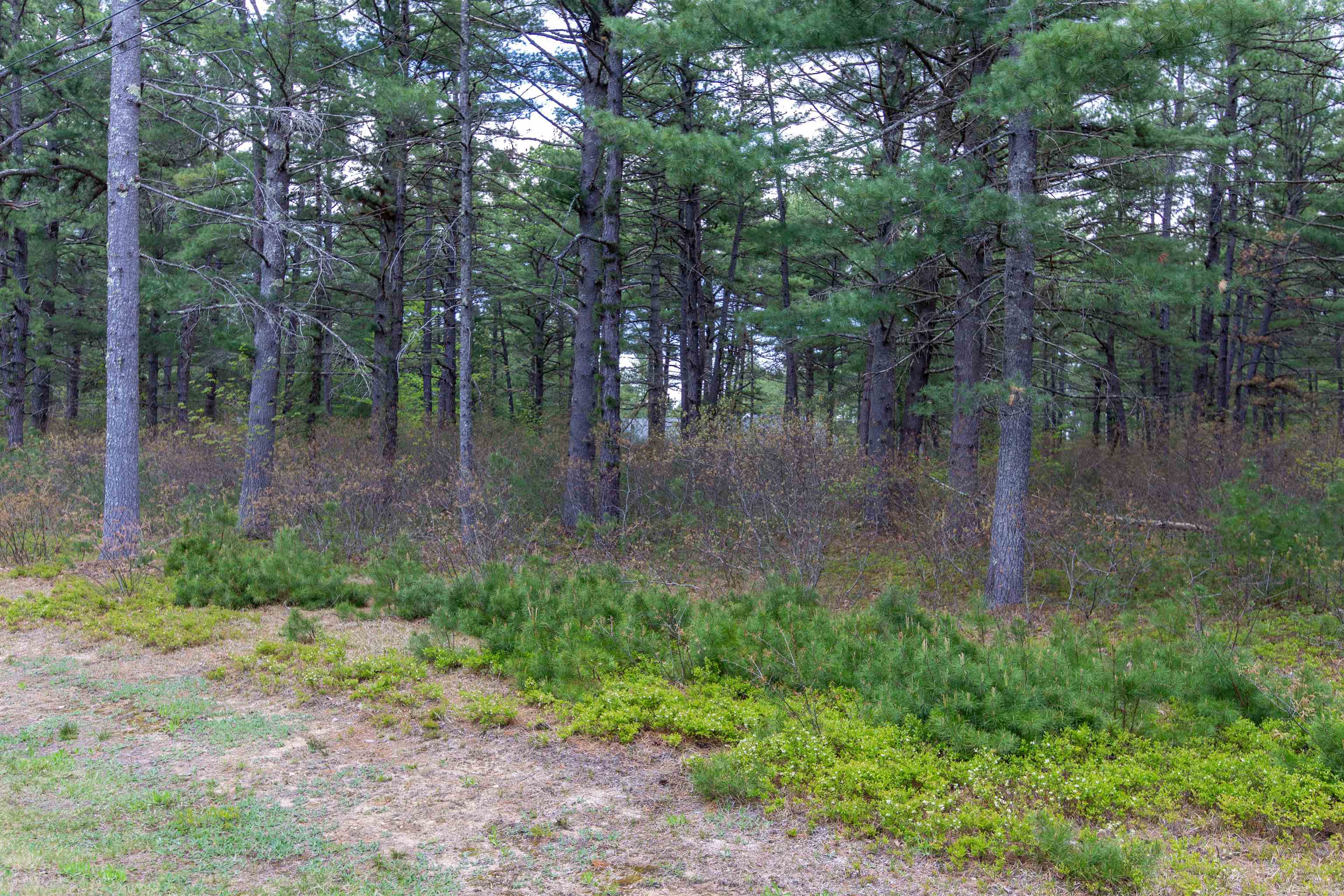 36 Logan Way West Ossipee, NH 03890 - Photo 8 of 39