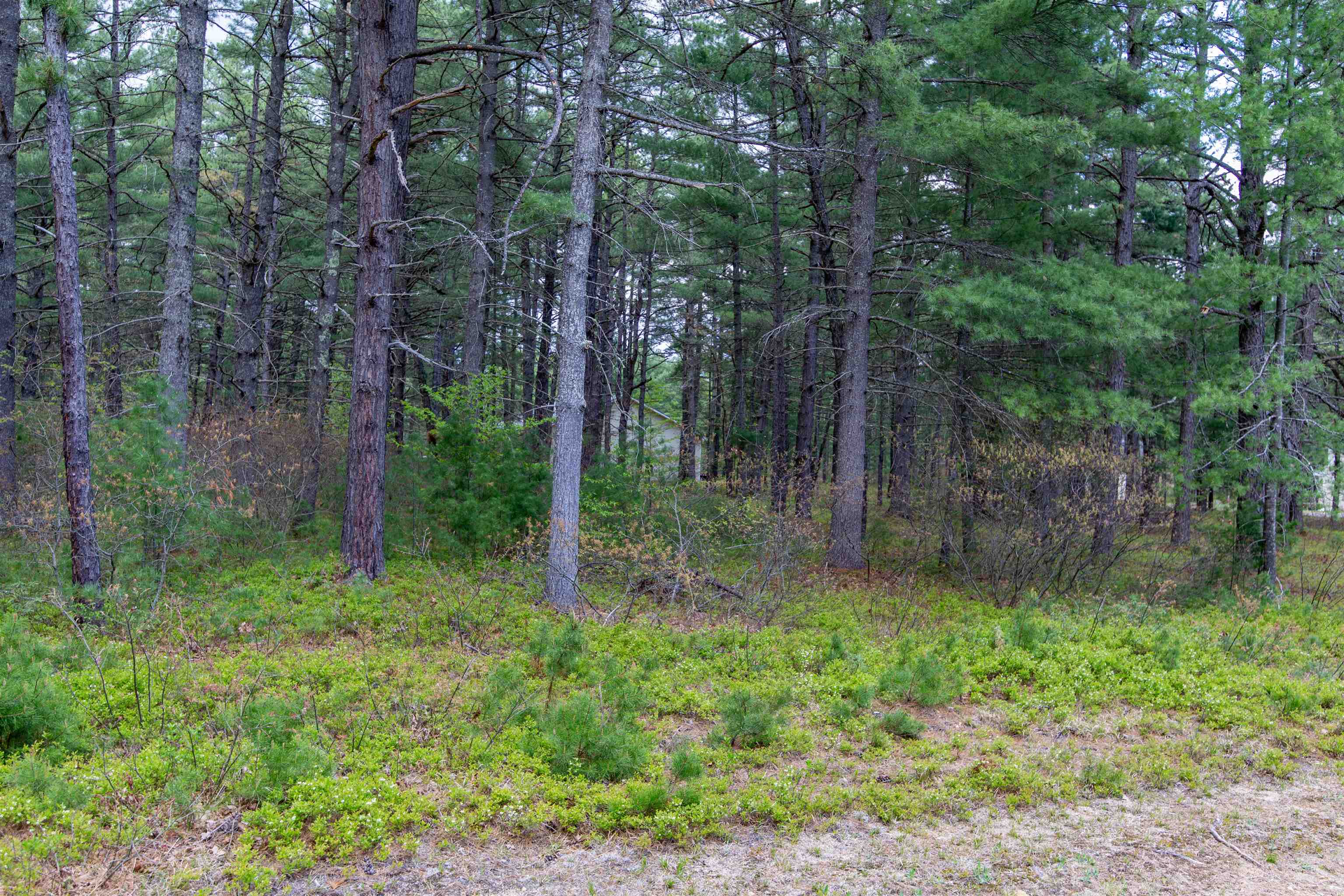 36 Logan Way West Ossipee, NH 03890 - Photo 9 of 39