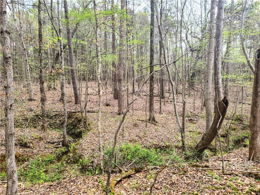 0 Old Concord Road China Grove, NC 28023 - Photo 8 of 16 Gallery Image 8