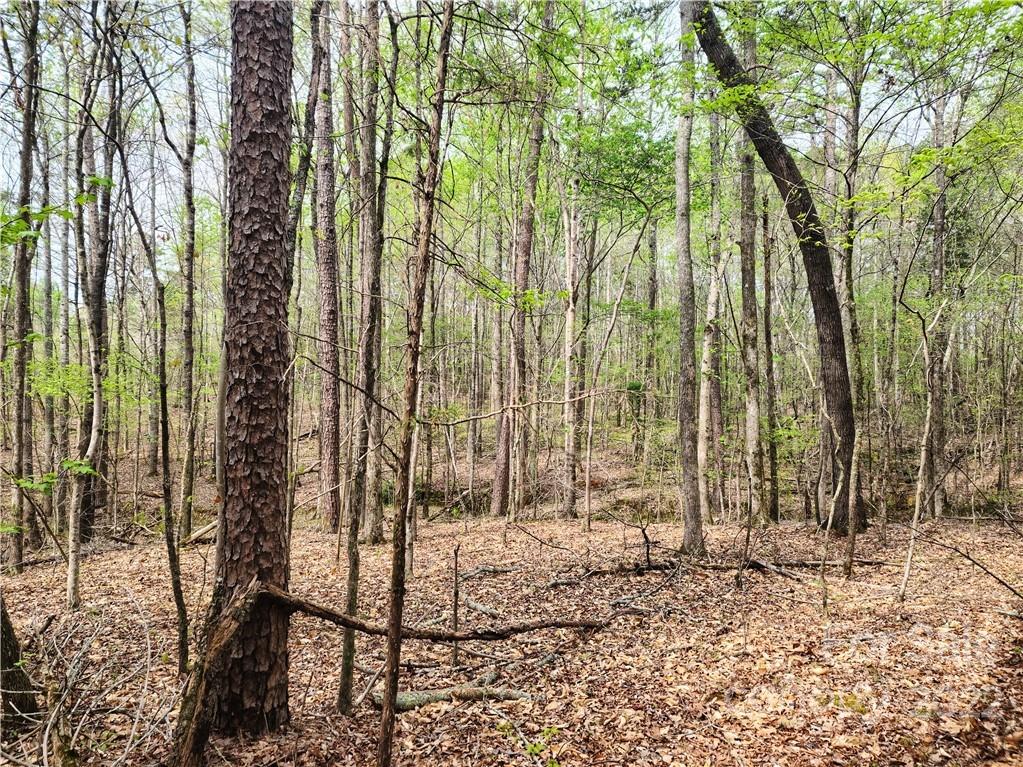 0 Old Concord Road China Grove, NC 28023 - Photo 9 of 16 Gallery Image 9